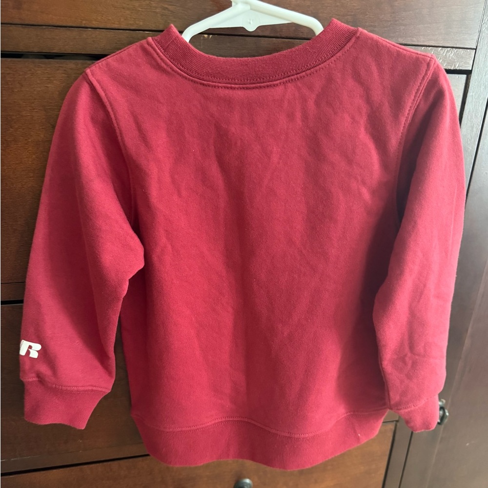 University of South Carolina 3T Sweatshirt by Russell Athletics NWT - Picture 5 of 6